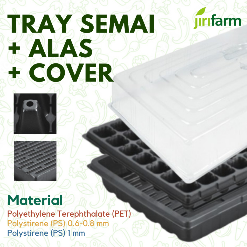 Tray Semai