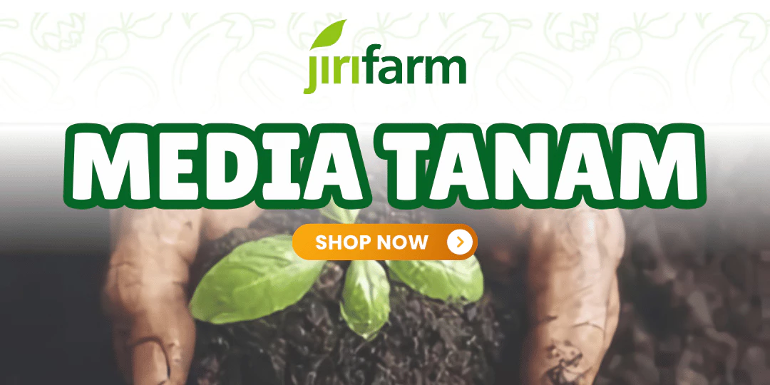 Media Tanam