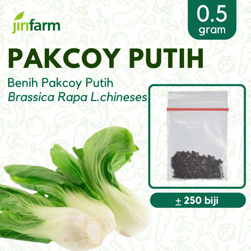 JIRIFARM - Benih Bibit Pakcoy White Tanaman Sayuran Seribuan Unggul