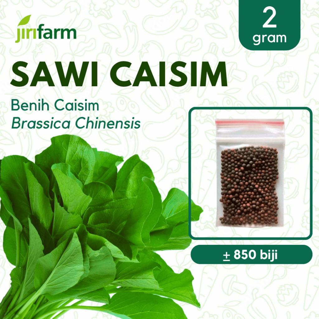 JIRIFARM - Benih Bibit Sawi Caisim Tanaman Sayuran Seribuan Unggul