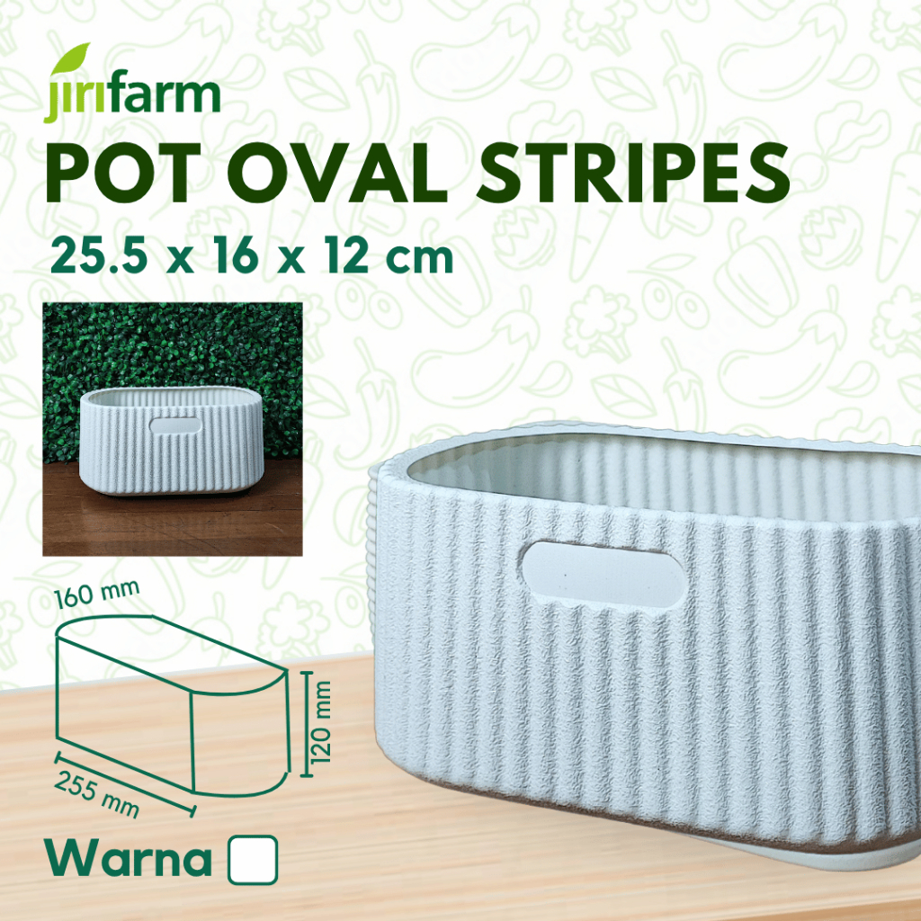 Jirifarm Hidroponik Pot murah / Pot Unik / Pot Tanaman Hias SWP-FY221 Pot Oval Aesthetic Vertical Stripes