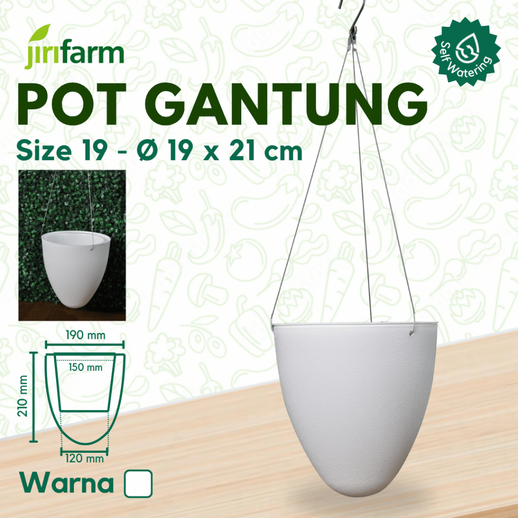 Self Watering Pot Hanging Home Design Jirifarm Hidroponik Hanging Pot / Pot Gantung / Pot tanaman Hias / Pot Unik