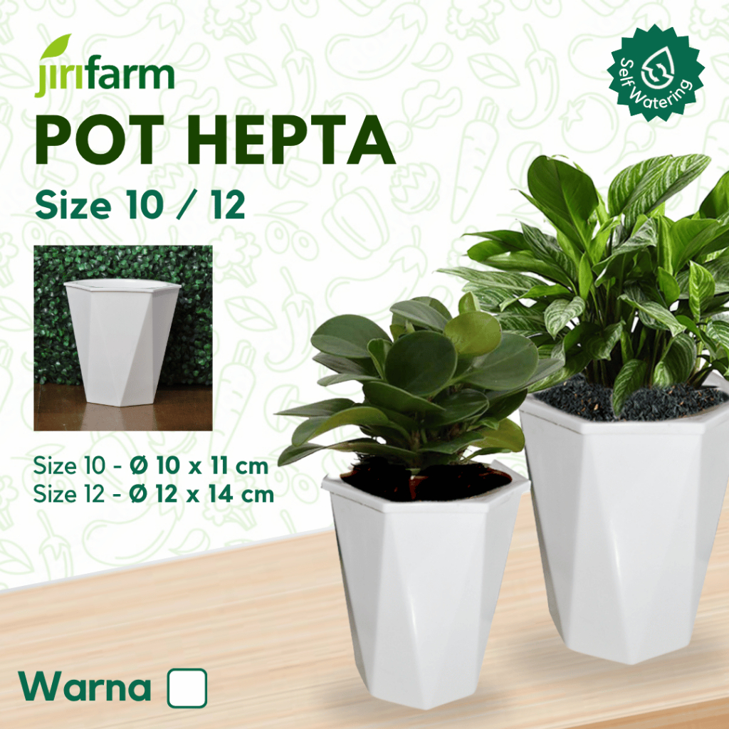 JIRIFARM - Pot Bunga Heptagon Size 10 12 - Tanaman Hias Otomatis Self Watering Pot Unik
