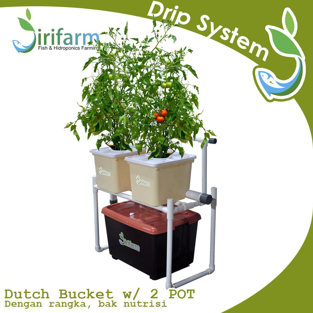 Jirifarm Hidroponik Sistem Dutch Bucket 2 Pot Diameter 10 cm