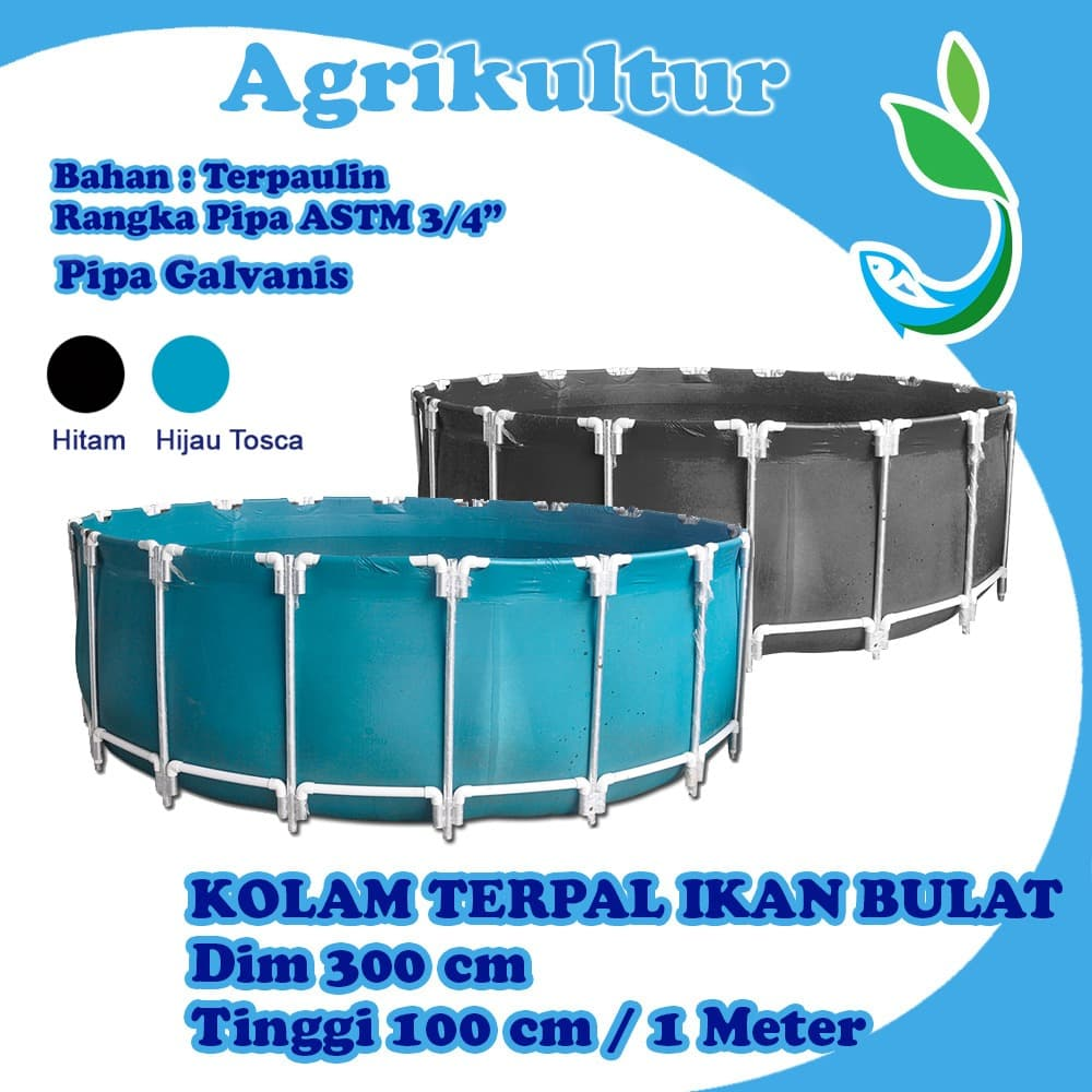 Kolam Terpal Knock Down DIm 3x1 m Kolam Ikan Pengganti Kolam Fiber
