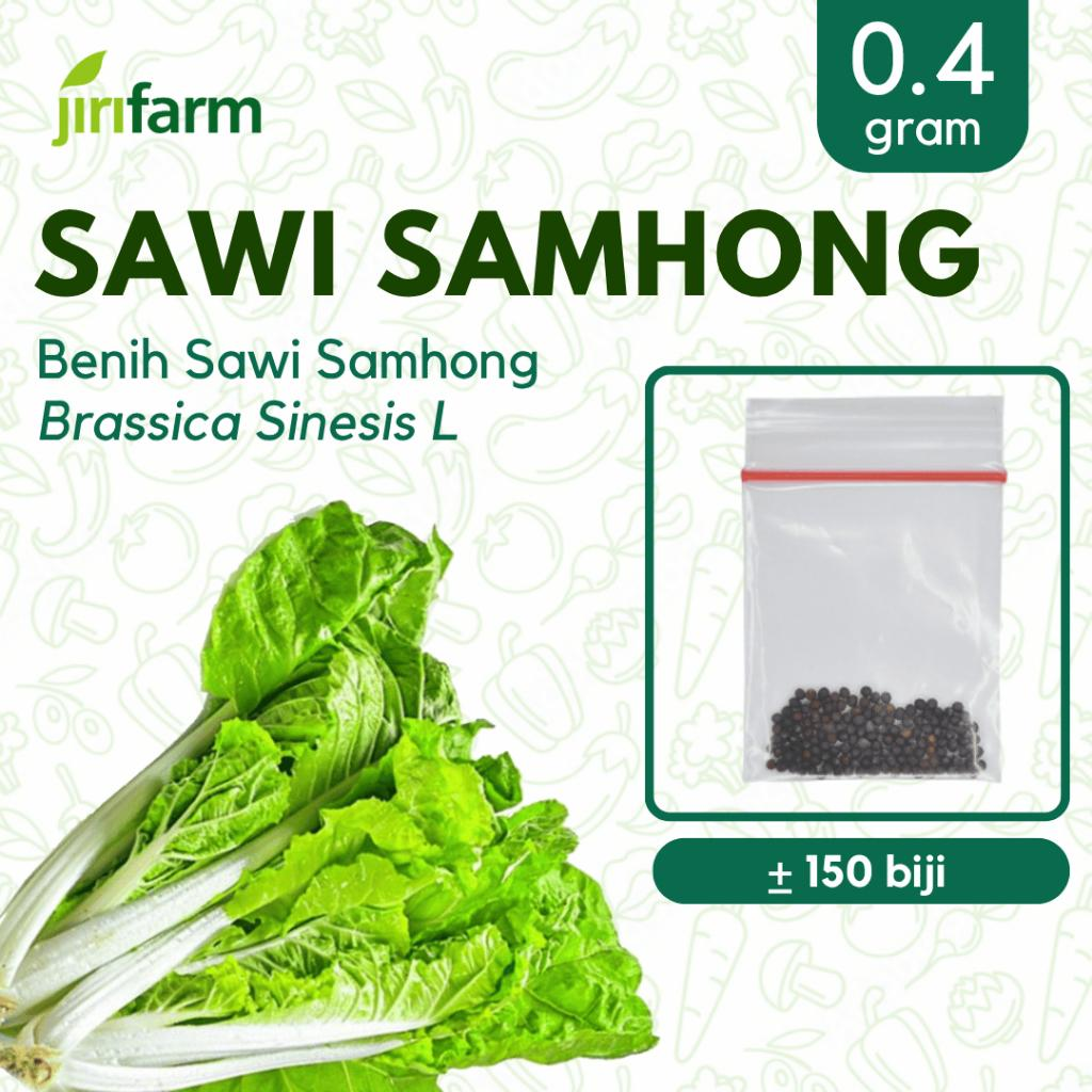 JIRIFARM - Benih Bibit Sawi SamhongTanaman Sayuran Seribuan Unggul