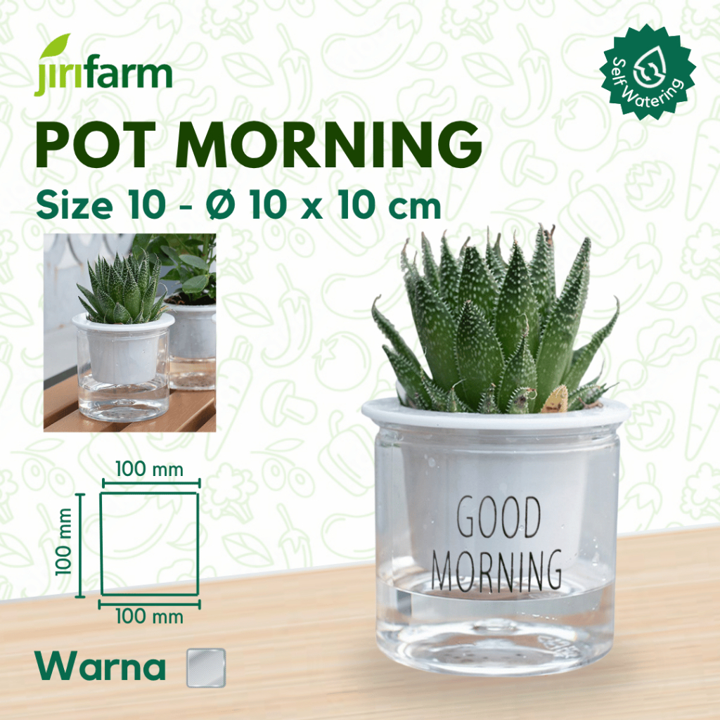 JIRIFARM - Pot Bunga Good Morning Bulat Size 10 - Tanaman Hias Otomatis Self Watering Pot Unik