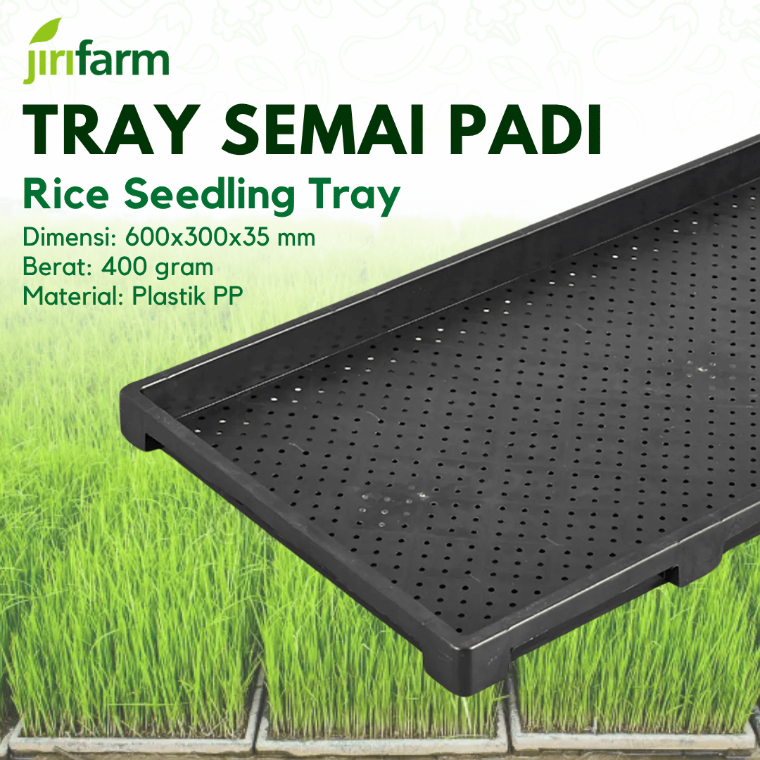 JIRIFARM - Tray Semai Padi Pot Bibit Pembibitan Rice Paddy Biji Hidroponik