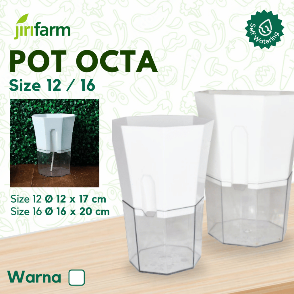 JIRIFARM - Pot Bunga Octagon Size 12 16 - Tanaman Hias Otomatis Self Watering Pot Unik