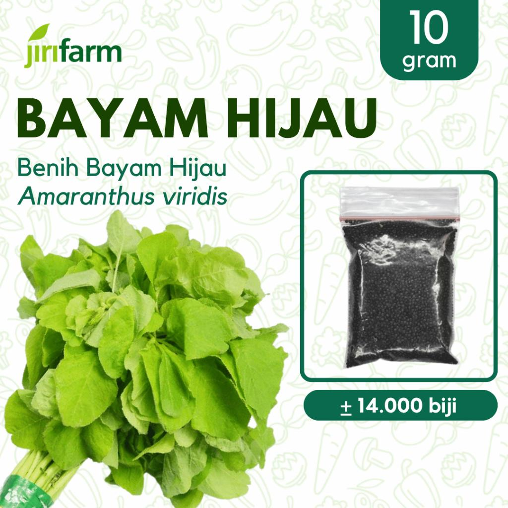 JIRIFARM - Benih Bibit Bayam Hijau Tanaman Sayuran Seribuan Unggul