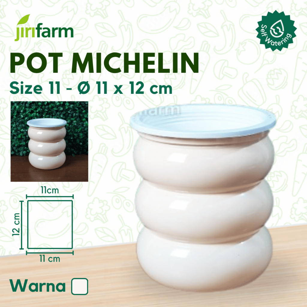 JIRIFARM - Pot Bunga Bubble Michele Diameter 11 - Tanaman Hias Otomatis Self Watering Pot Unik