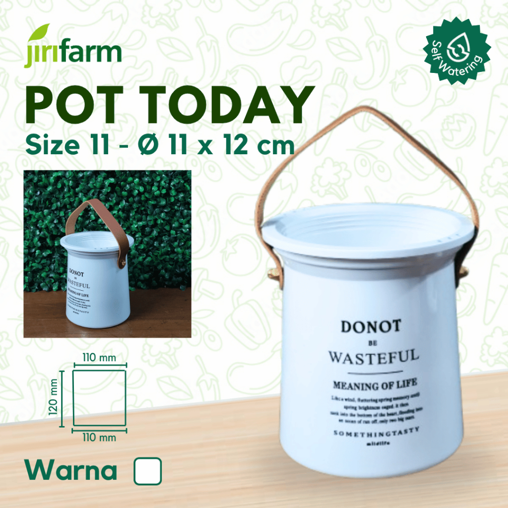 JIRIFARM - Pot Bunga Quote of Today Diameter 11 - Tanaman Hias Otomatis Self Watering Pot Unik