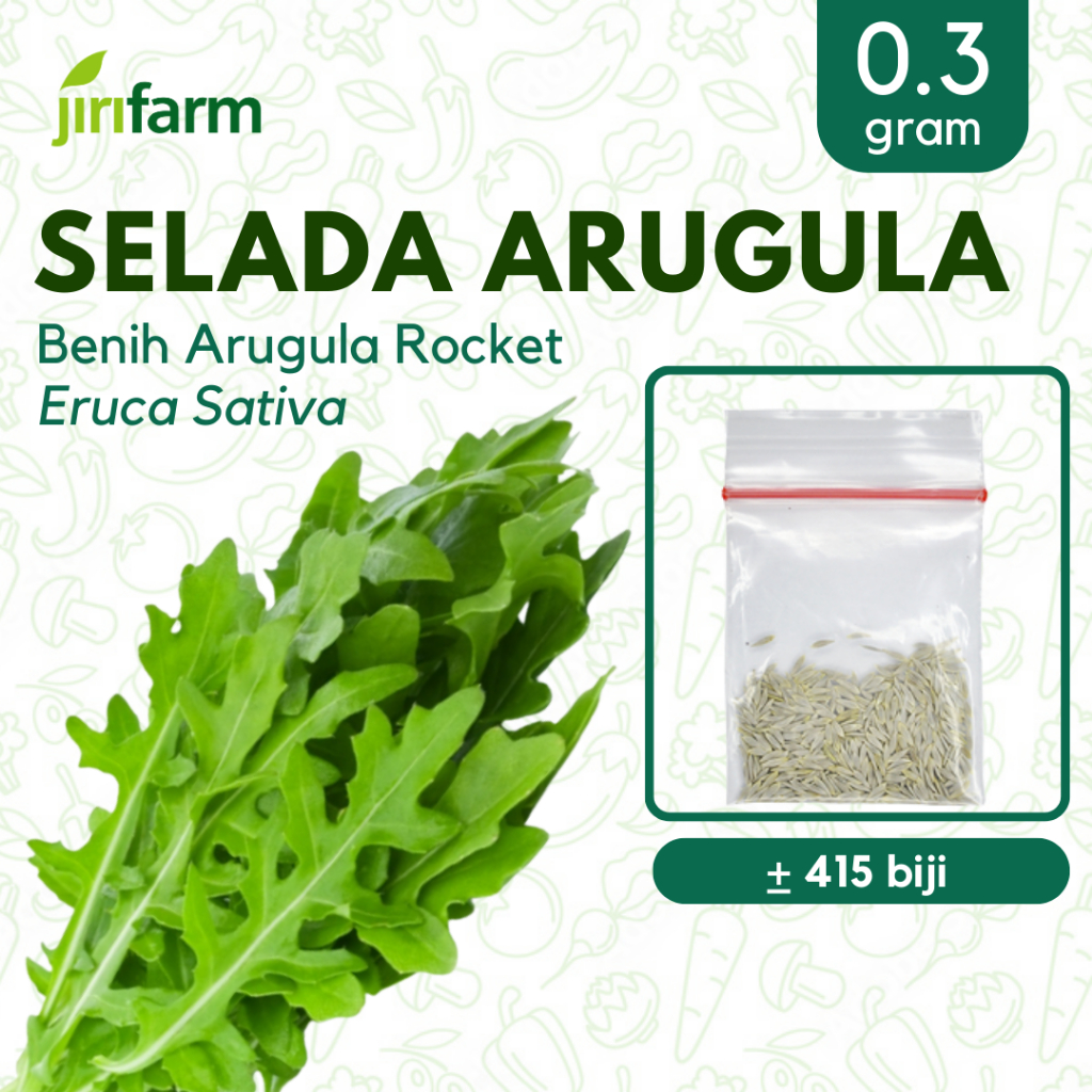 JIRIFARM - Benih Bibit Selada Arugula Tanaman Sayuran Seribuan Unggul