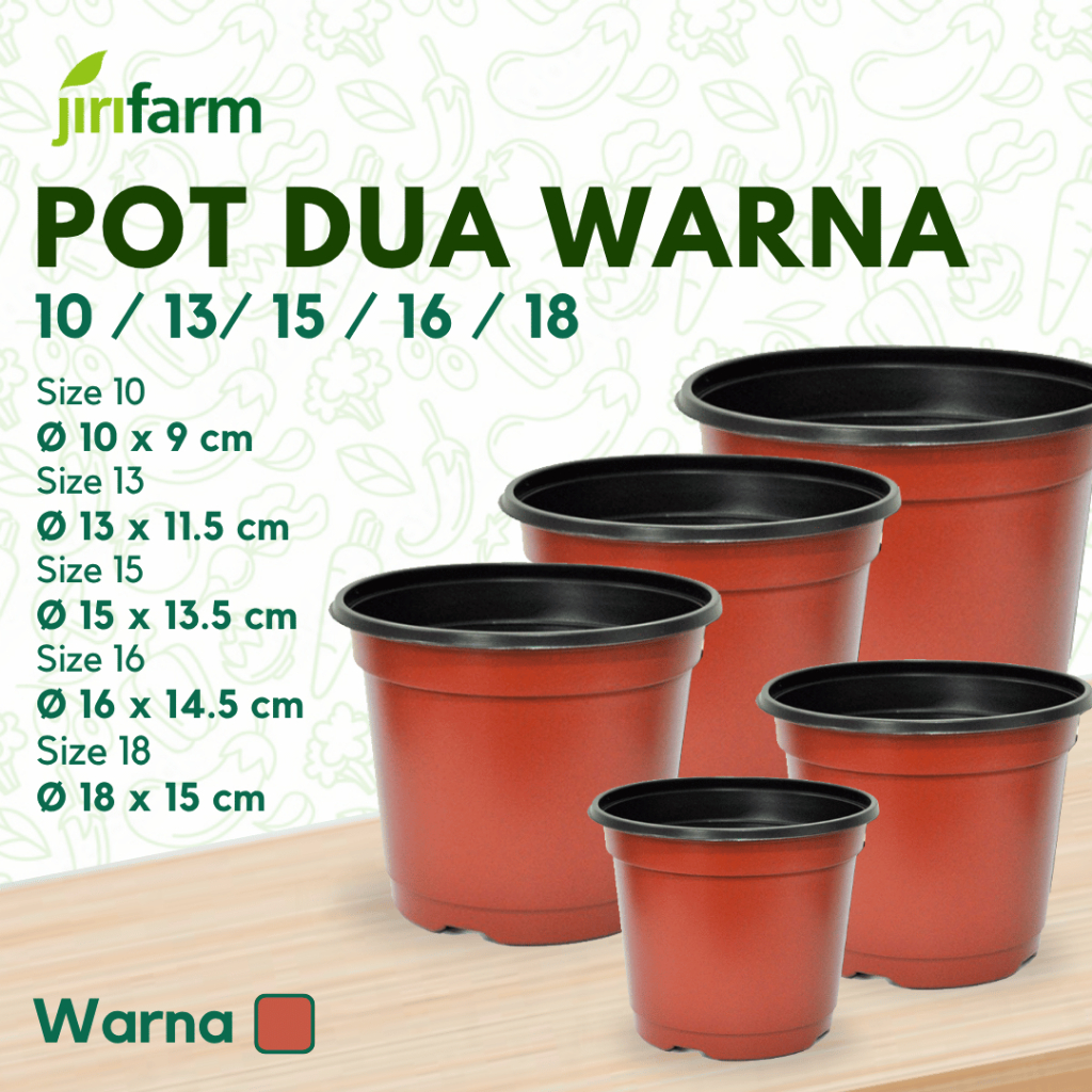 JIRIFARM - Pot Bunga Kaktus Plastik Diameter 10 13 15 16 18 Murah