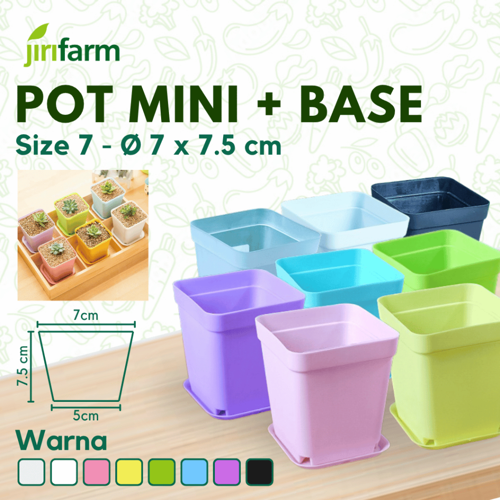 JIRIFARM - Pot Plastik / Pot Persegi / Pot Murah / Pot Sekulen Plus Tatakan 7x7x7.5 cm