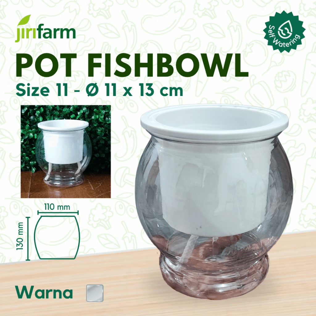 JIRIFARM - Pot Bunga Clear Transparan Size 11 - Tanaman Hias Otomatis Self Watering Pot Unik