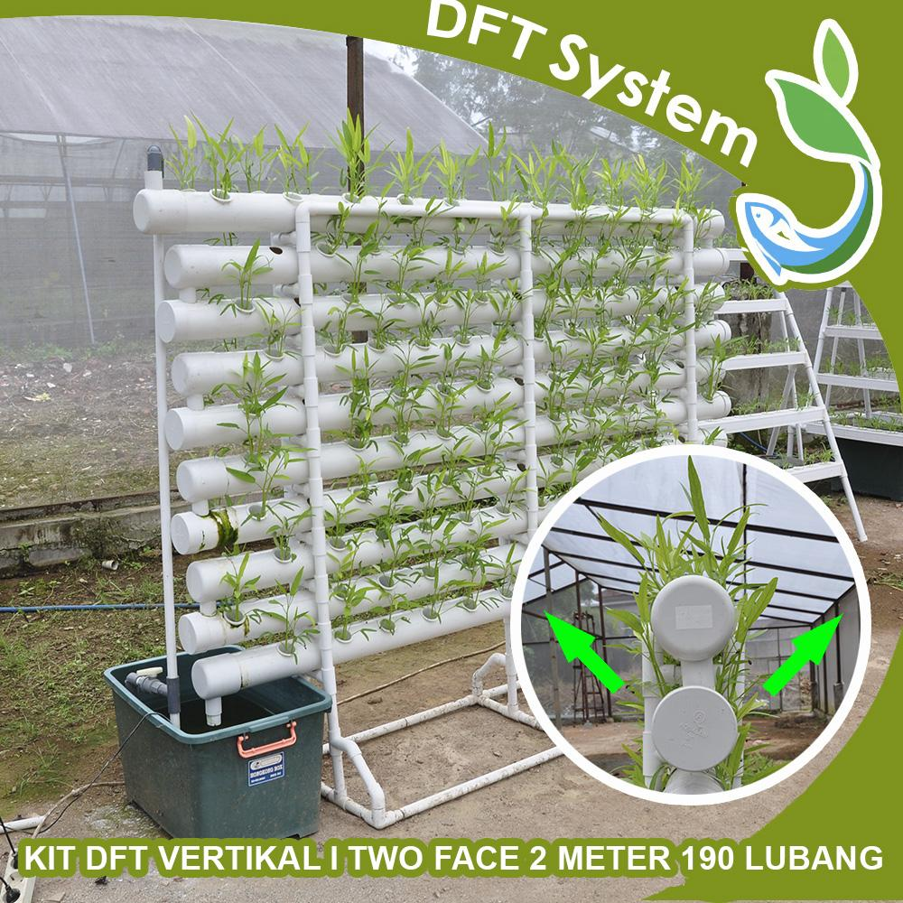 Jirifarm Hidroponik Kit DFT Vertikal I TWO FACE 2 meter 190 Lubang