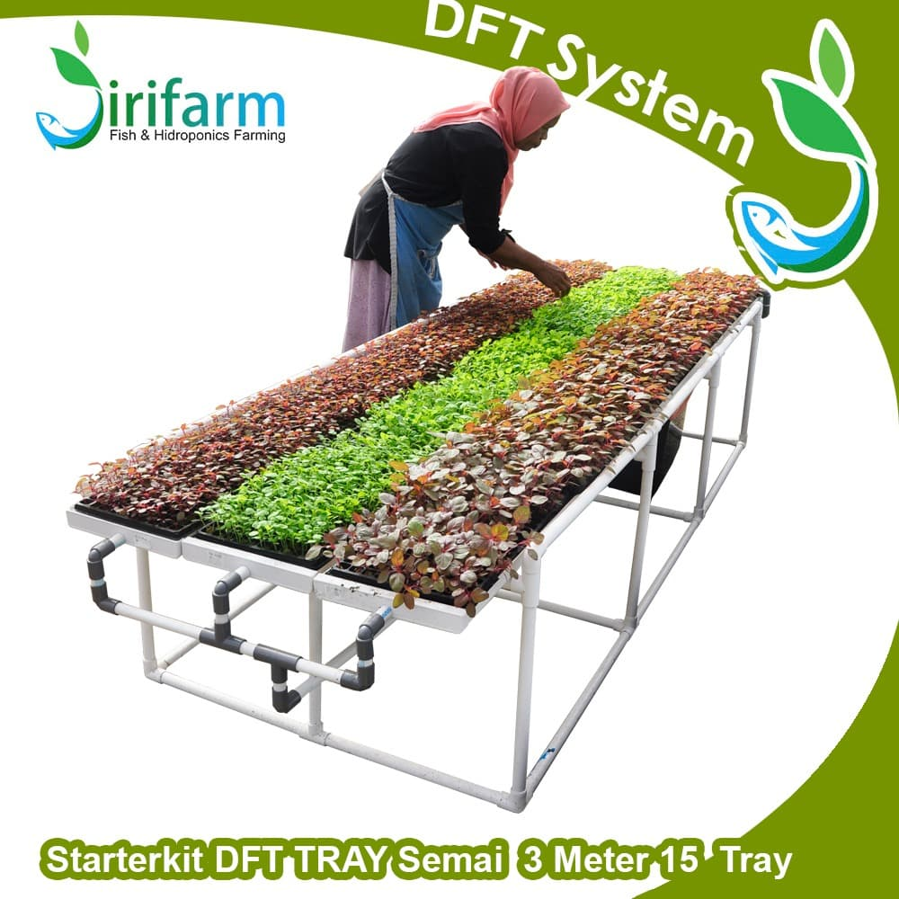 Jirifarm Paket RAK SEMAI Sirkulasi 3 meter DFT 15 TRAY SEMAI