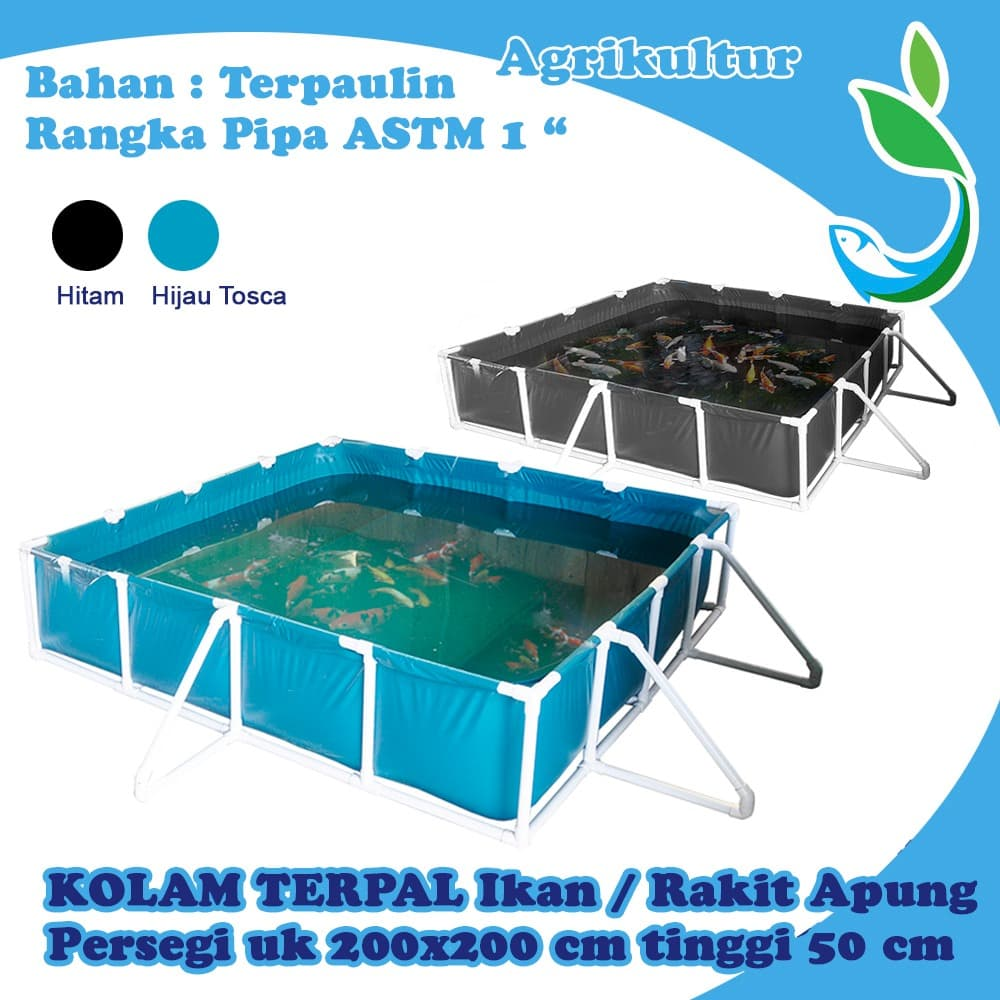 Kolam Terpal Knock Down Persegi 200x200x50cm pengganti kolam fiber