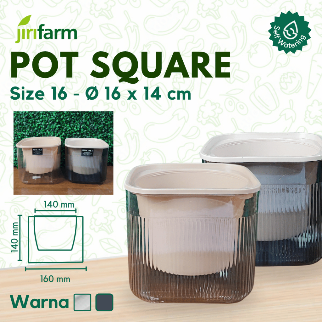 JIRIFARM - Pot Bunga Transparant Square Diameter 16 - Tanaman Hias Otomatis Self Watering Pot Unik