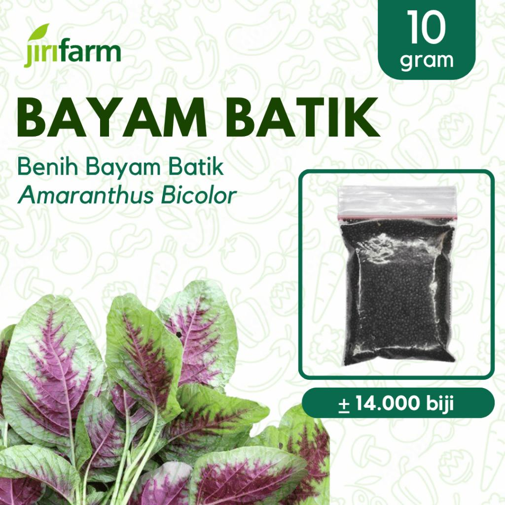 JIRIFARM - Benih Bibit Bayam Batik Tanaman Sayuran Seribuan Unggul