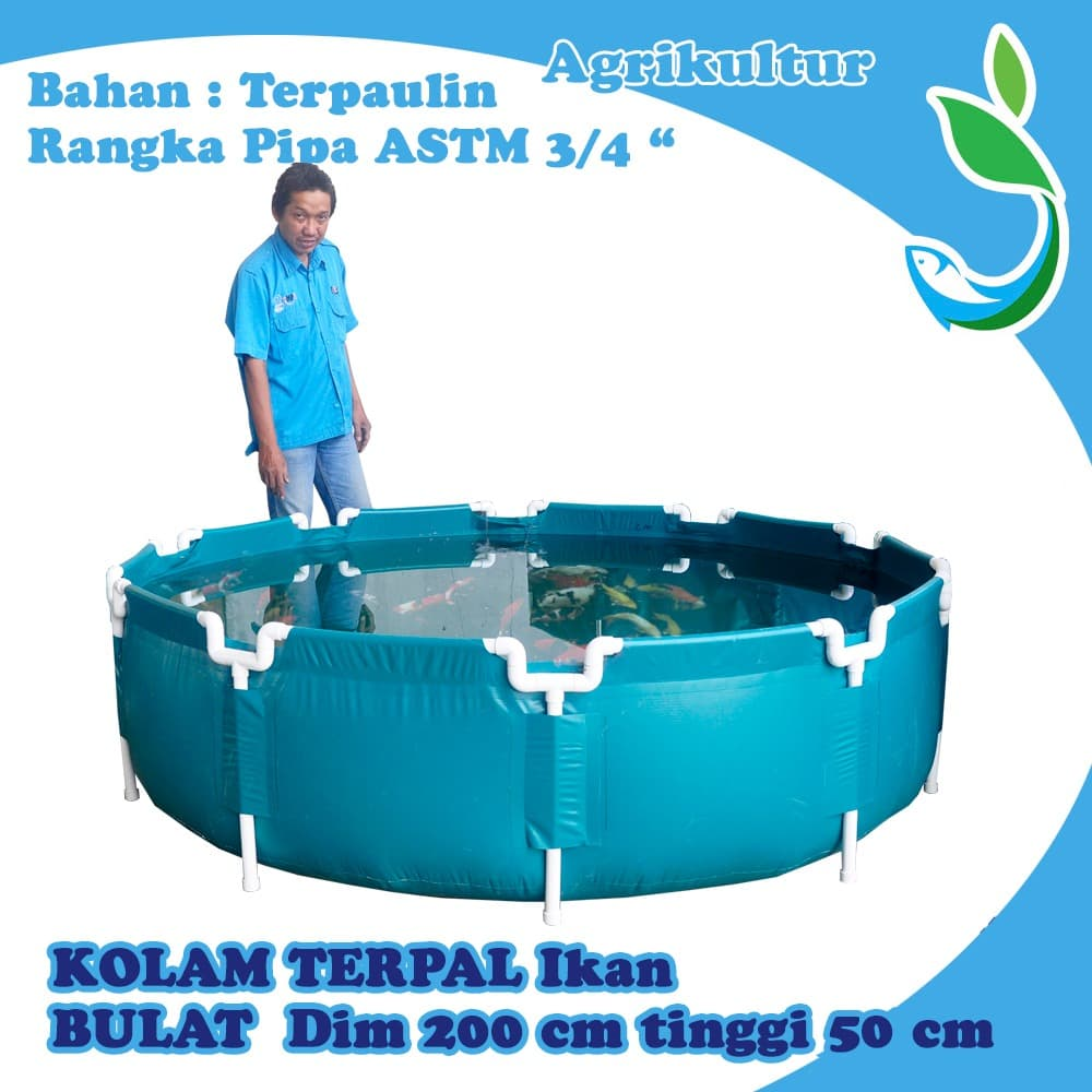 Kolam Terpal Knock Down Dim 200 cm Tinggi 50 cm pengganti kolam fiber