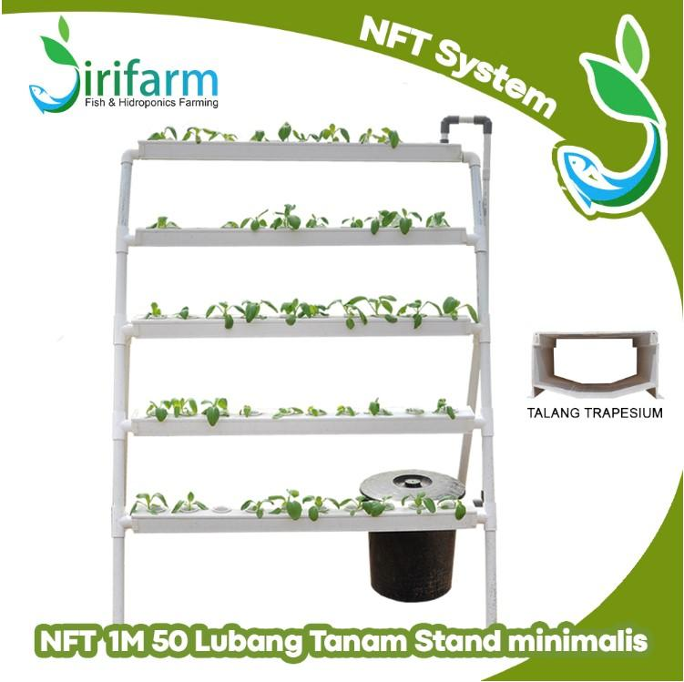 Jirifarm Paket Tanam Hidroponik NFT STAND Minimalis 1 Meter 50 Lubang