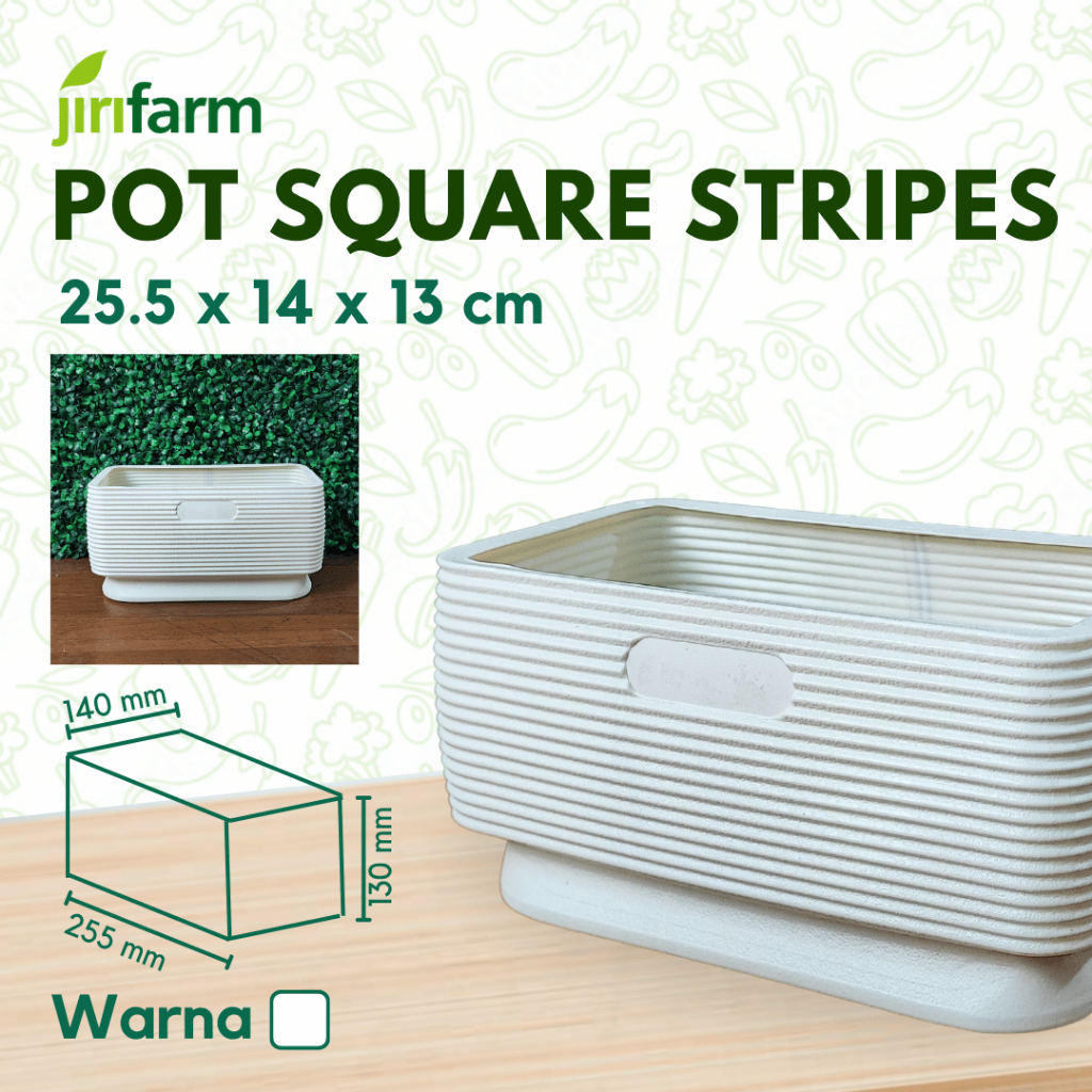 Jirifarm Hidroponik Pot murah / Pot Unik / Pot Tanaman Hias SWP-FY222 Pot Square Aesthetic Stripes