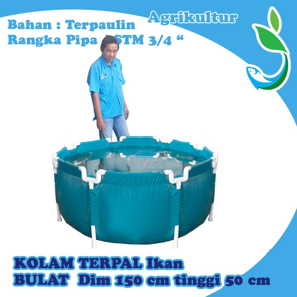Kolam Terpal Knock Down D 150 cm T 50 cm Pengganti Kolam Fiber 11314