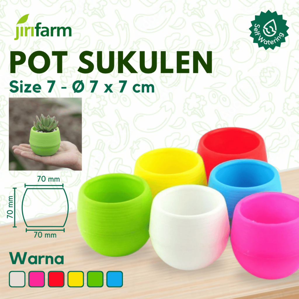 JIRIFARM - Pot Bunga Sukulen Mini 7x7 - Tanaman Hias Otomatis Self Watering Pot Unik