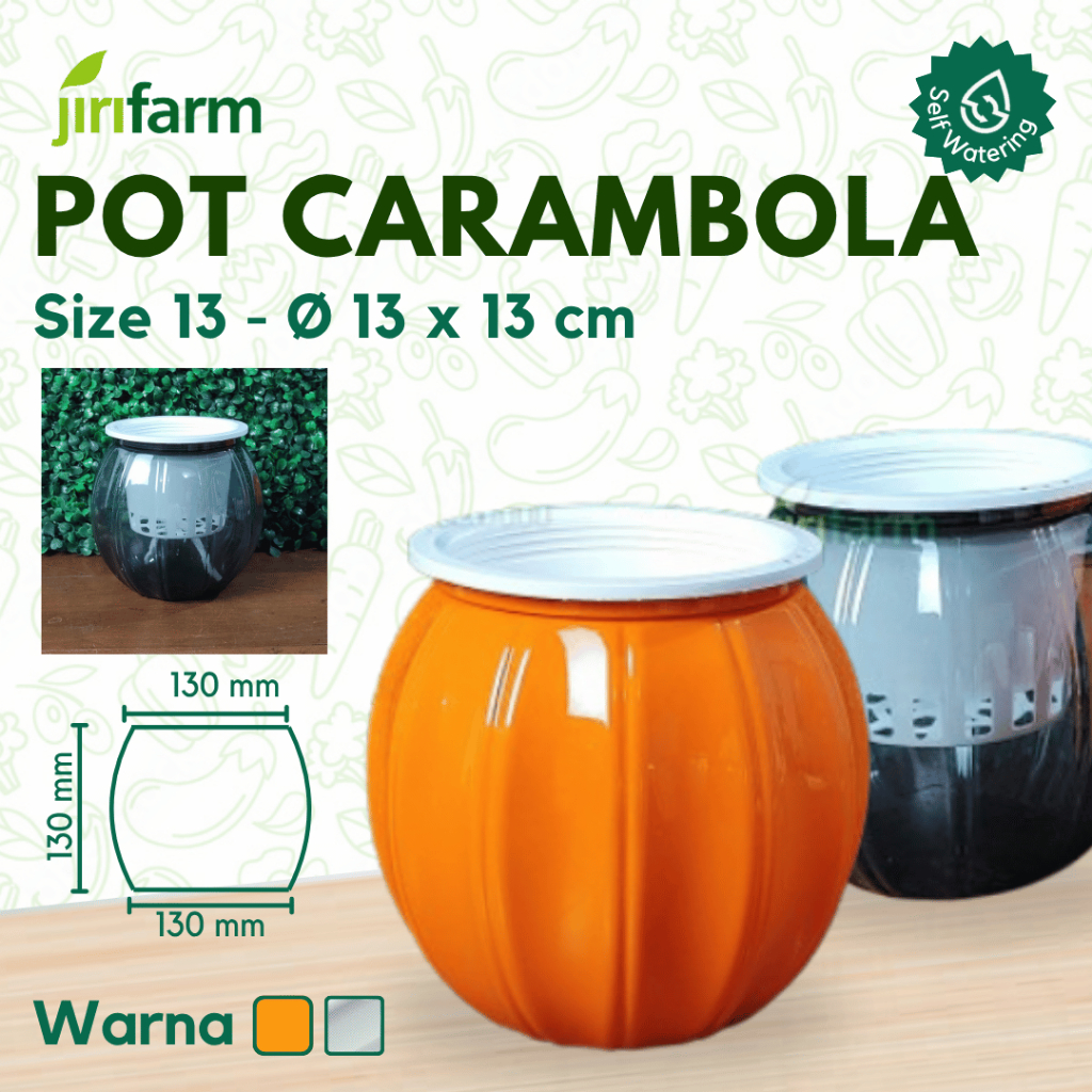 JIRIFARM - Pot Bunga Pumpkin Diameter 13 - Tanaman Hias Otomatis Self Watering Pot Unik